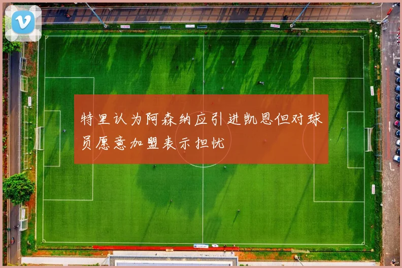 特里认为阿森纳应引进凯恩但对球员愿意加盟表示担忧