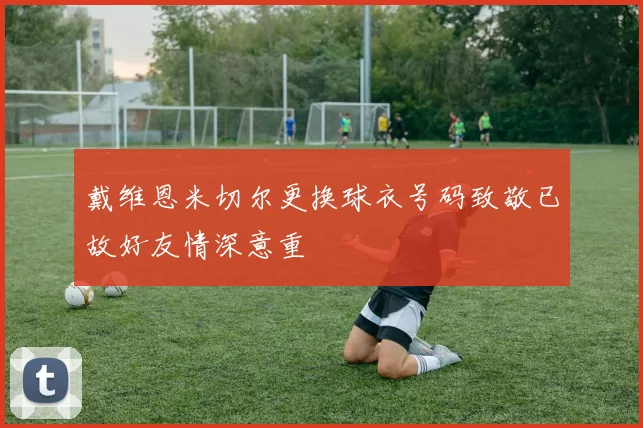 戴维恩米切尔更换球衣号码致敬已故好友情深意重